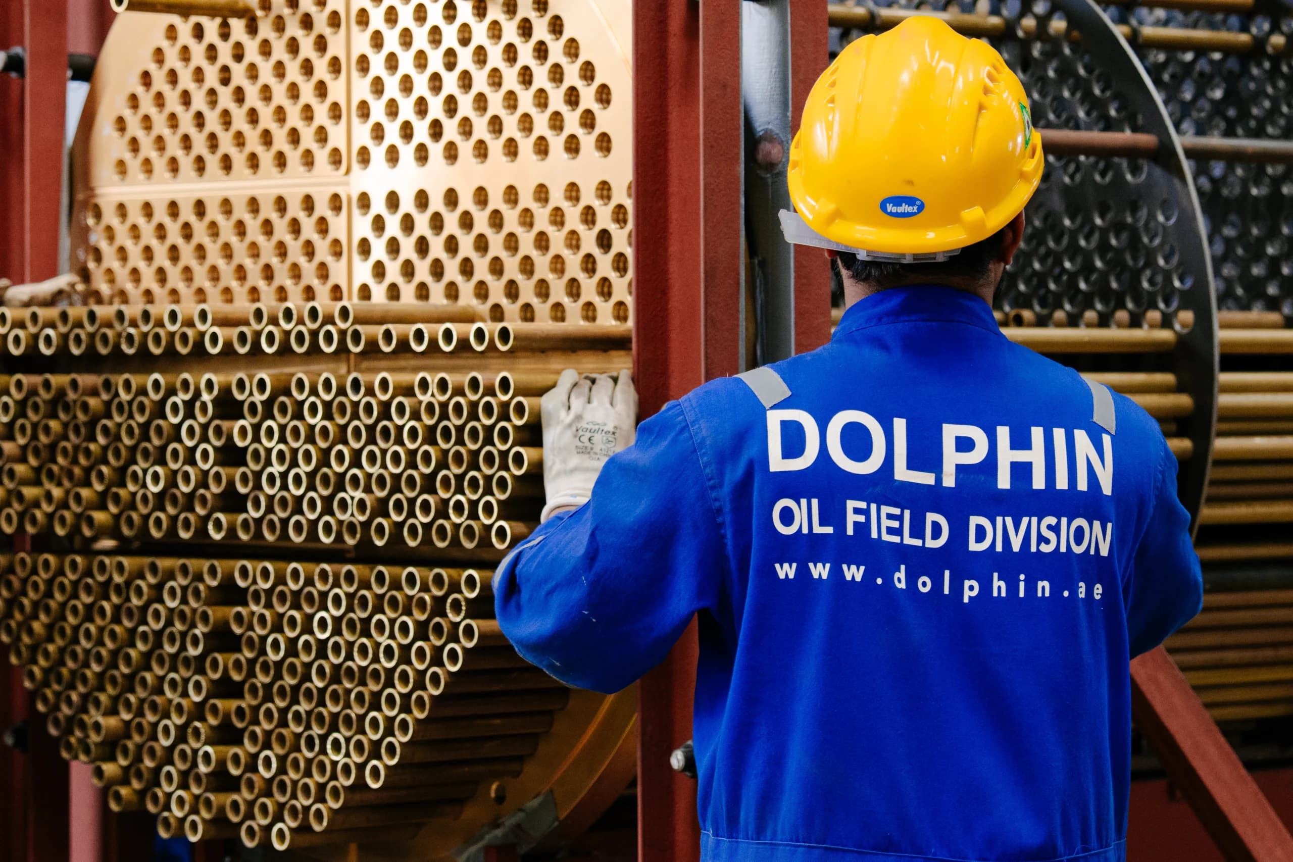 Dolphin Group technician beside a heat exchanger tube bundle