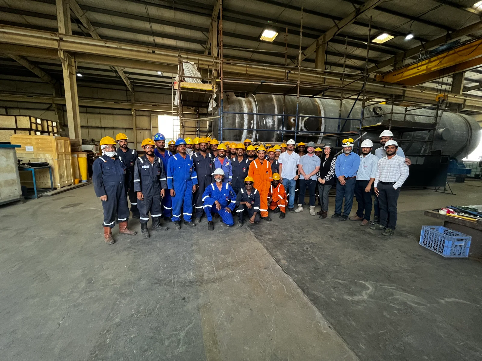 Dolphin Group project delivered for a client worldwide